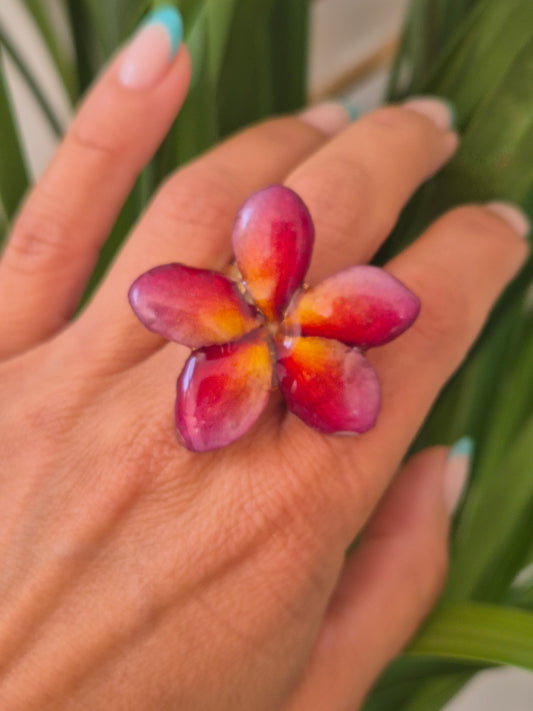 Anillo plumeria burdeos