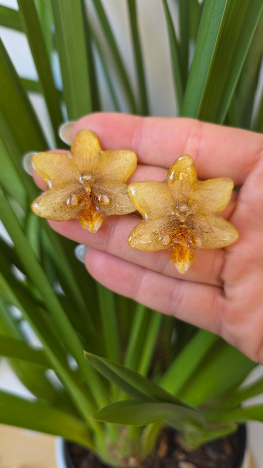 Pendientes orquidea mini