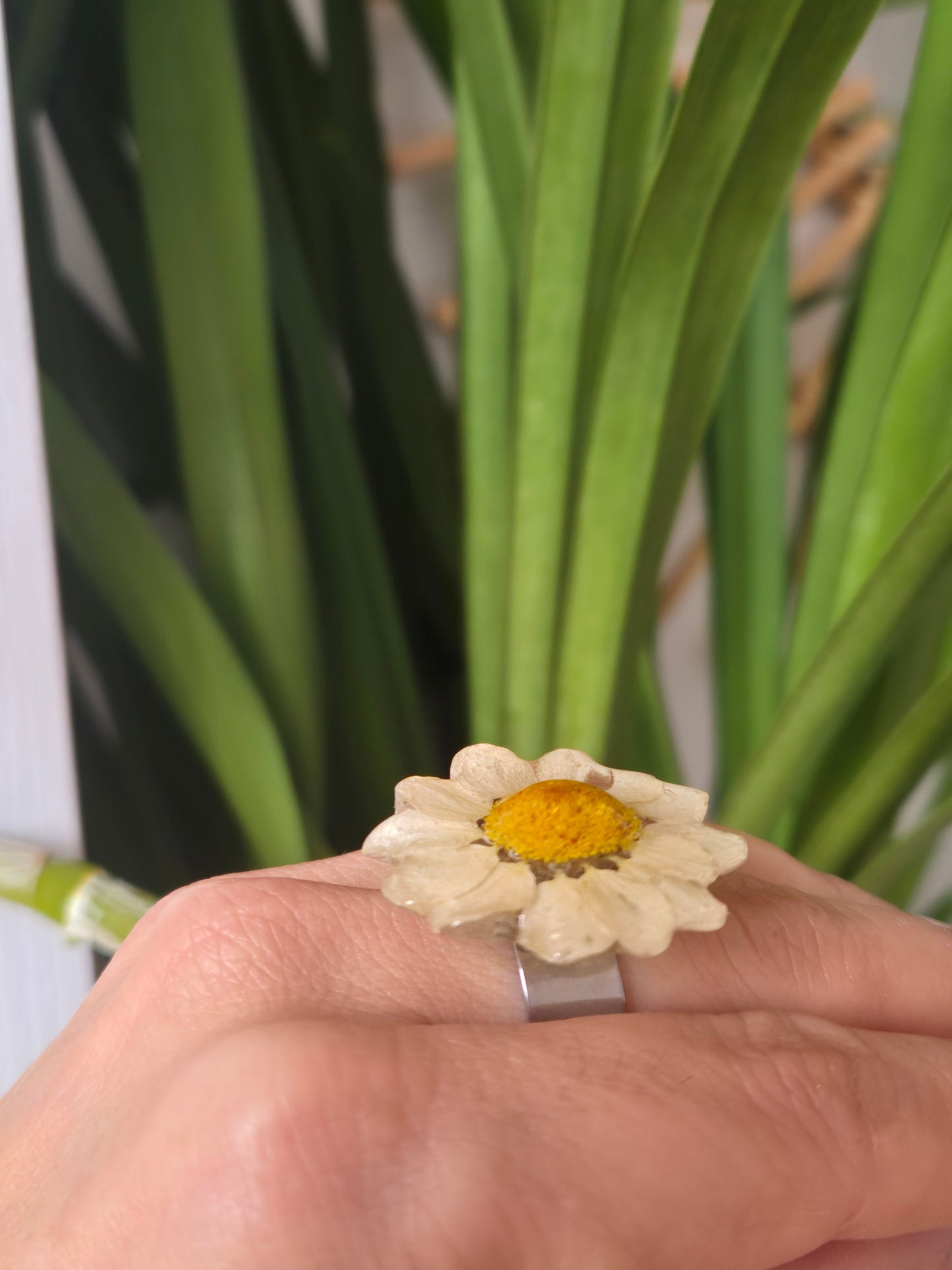 Anillo ajustable margarita