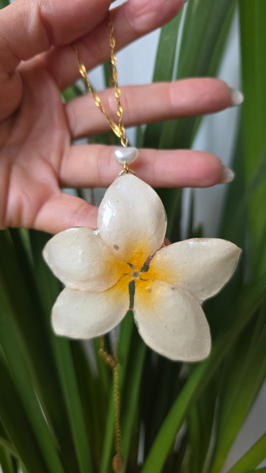 Colgante plumeria
