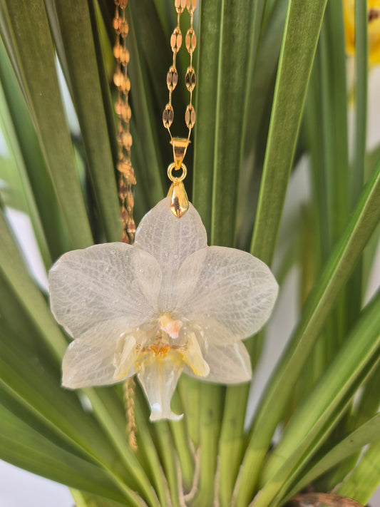 Colgante orquídea blanca