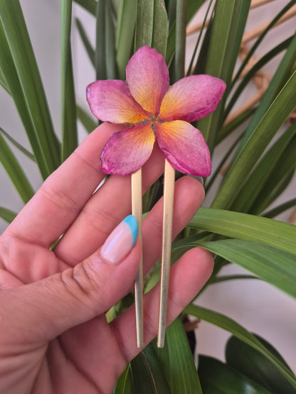 Horquilla Plumeria