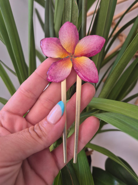 Horquilla Plumeria