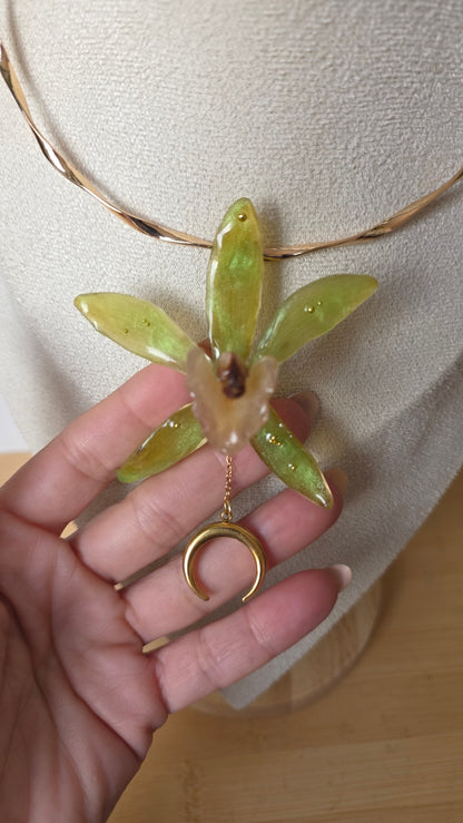 Choker orquidea Cymbidium