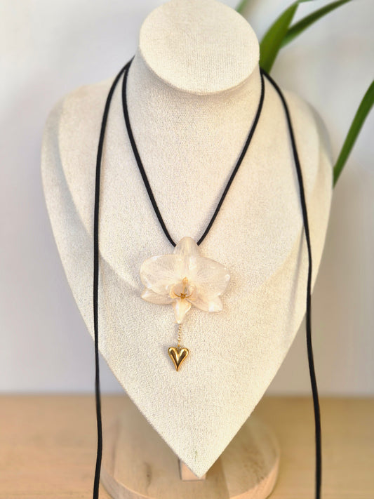 Colgante regulable de orquídea Phalaenopsis