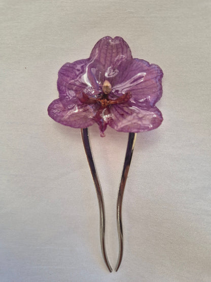 Horquilla de orquidea real