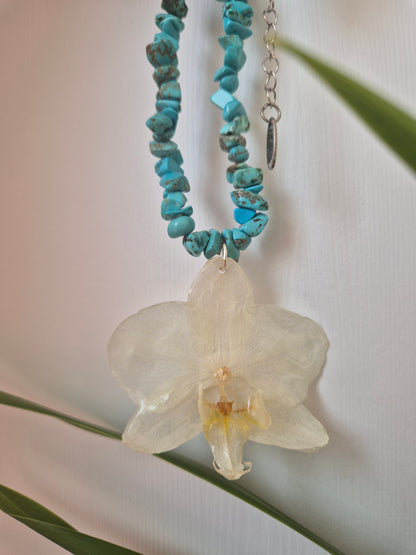 Colgante orquídea  Dentrobium