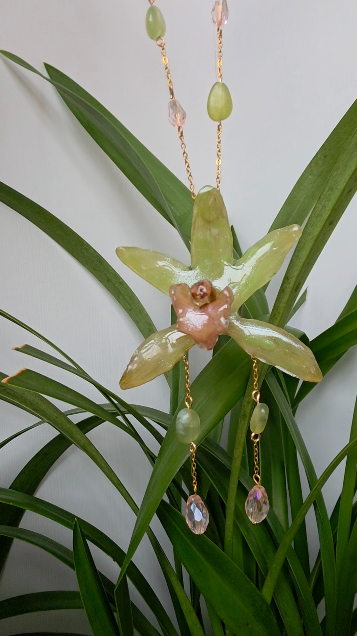 Colgante de orquidea real