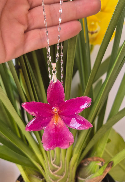 Colgante Orquídea Cambria Fucsia
