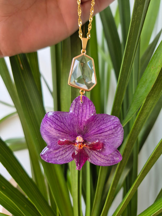 Colgante orquidea Phalaenopsis