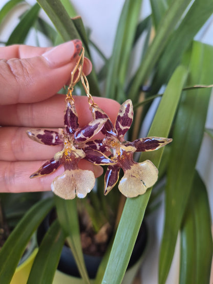 Pendientes orquidea Cambria