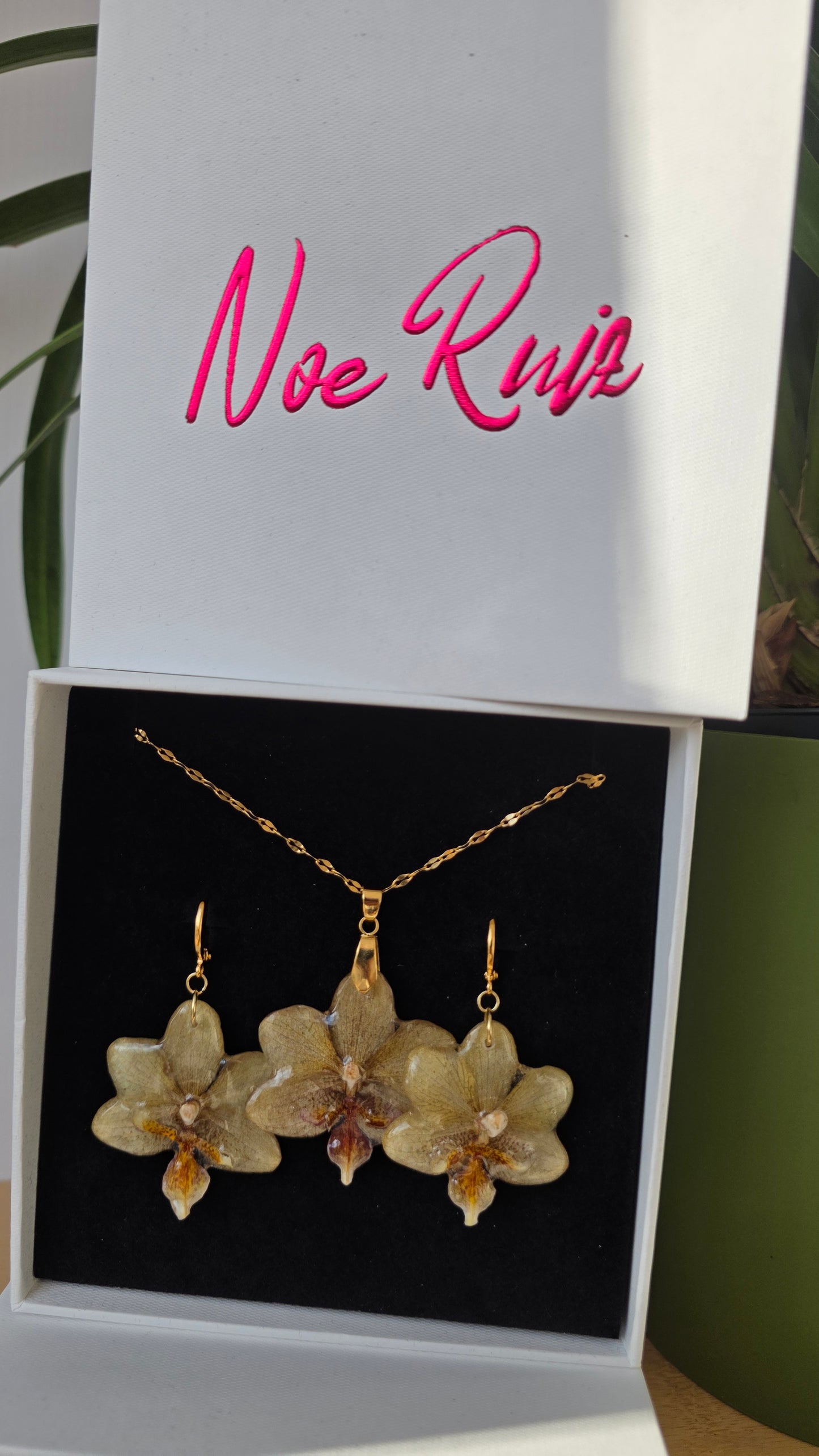 Conjunto orquidea Phalaenopsis