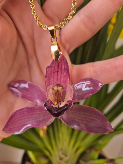 Colgante Orquídea Cymbidium