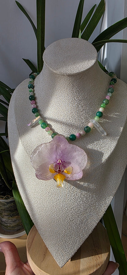 Colgante orquídea Phalaenopsis