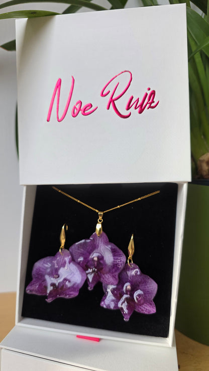 Conjunto orquidea Phalaenopsis