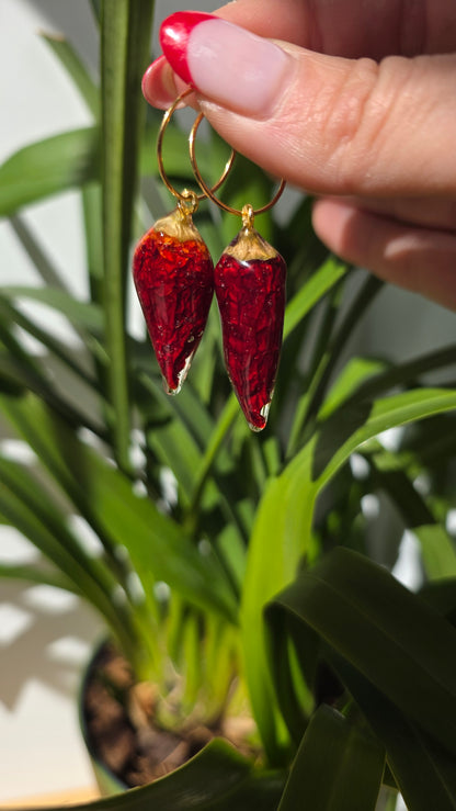 Pendientes de Chile