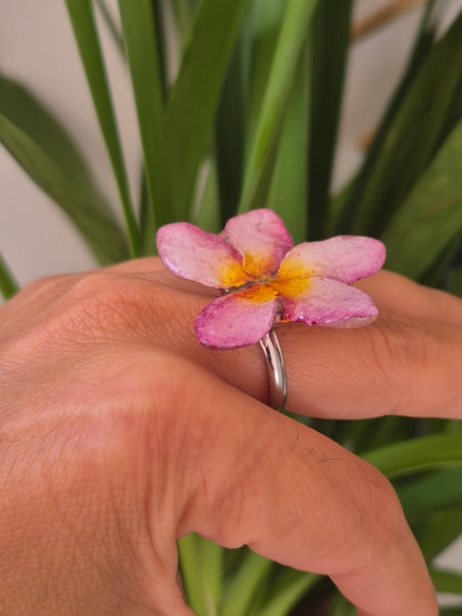 Anillo plumeria rosada