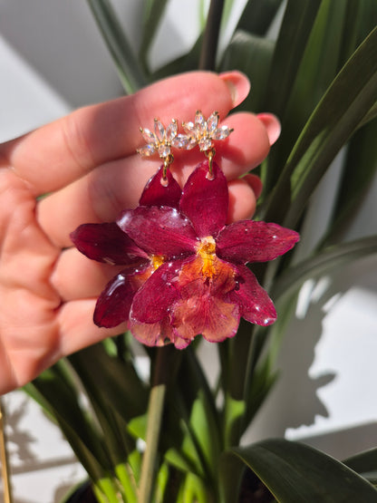 Pendientes orquidea cambria