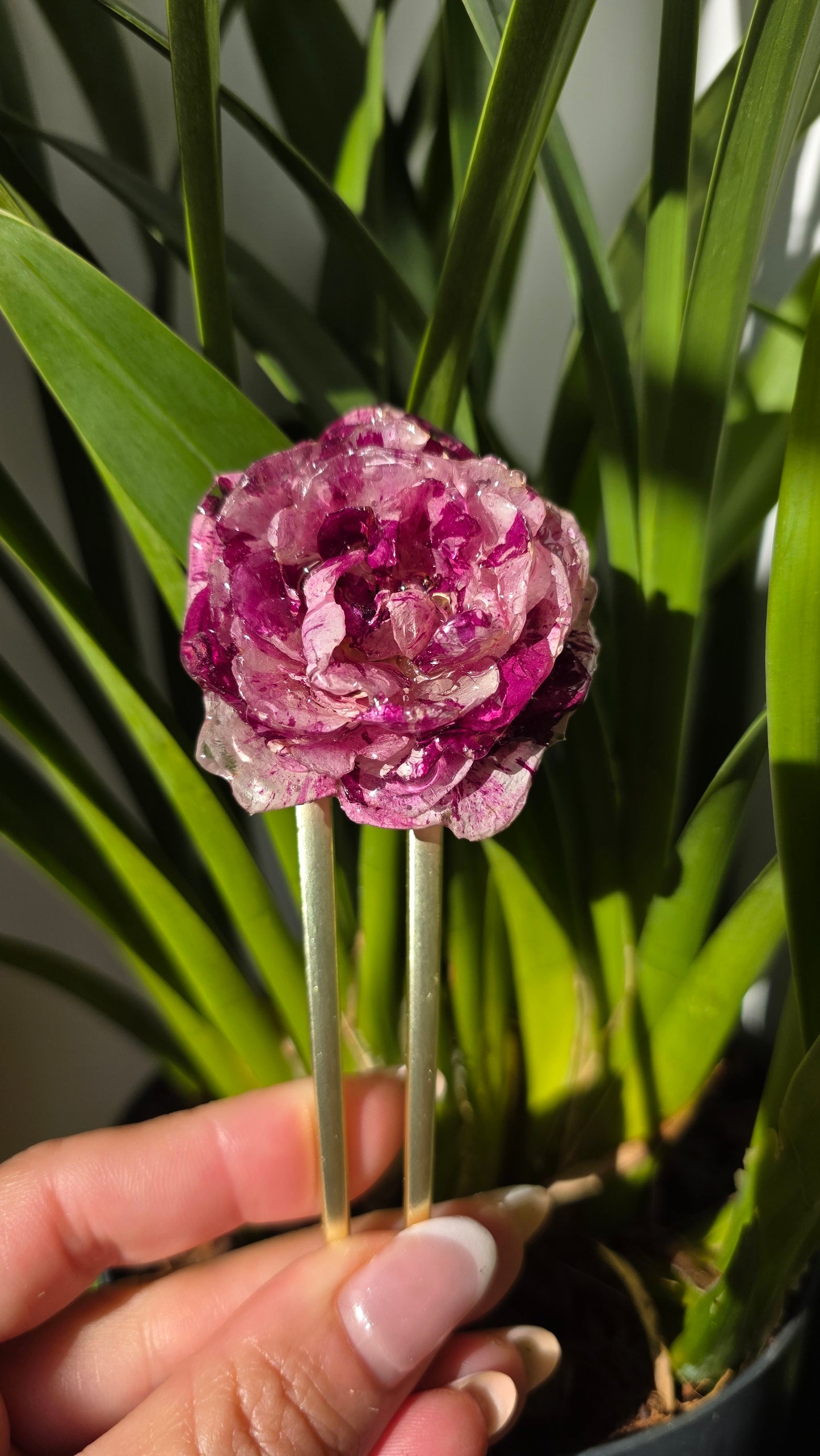 Horquilla de rosa de pitimini