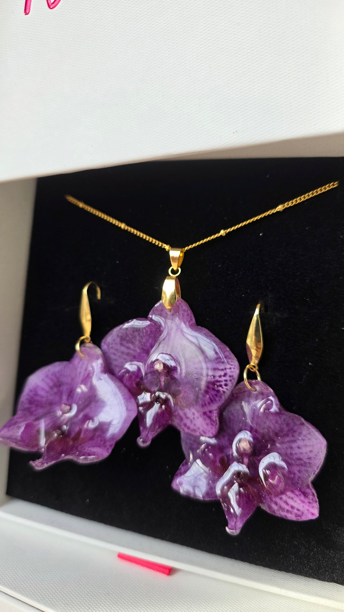 Conjunto orquidea Phalaenopsis