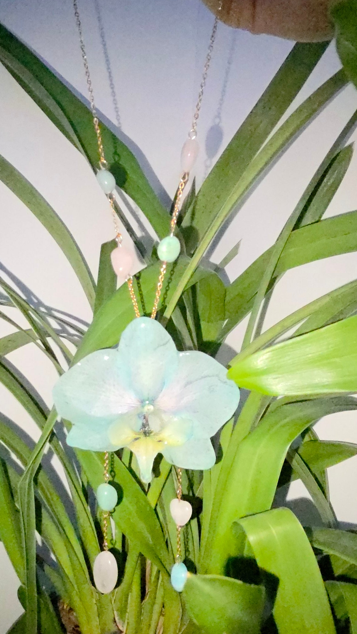 Colgante de orquidea real
