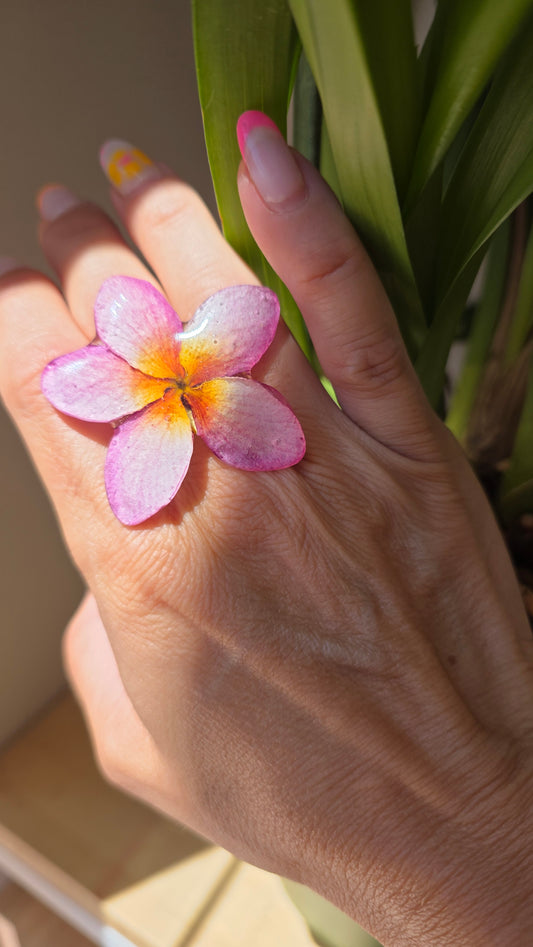 Anillo Plumeria rosa