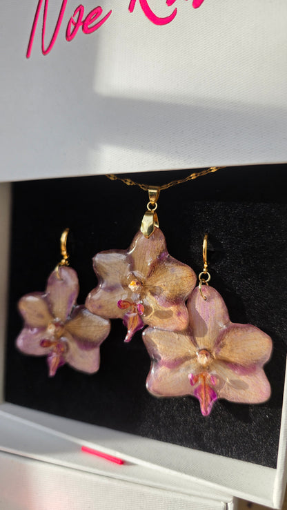 Conjunto orquidea Phalaenopsis