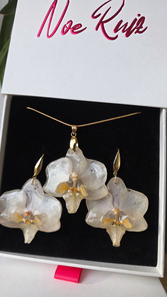 Conjunto orquidea Phalaenopsis