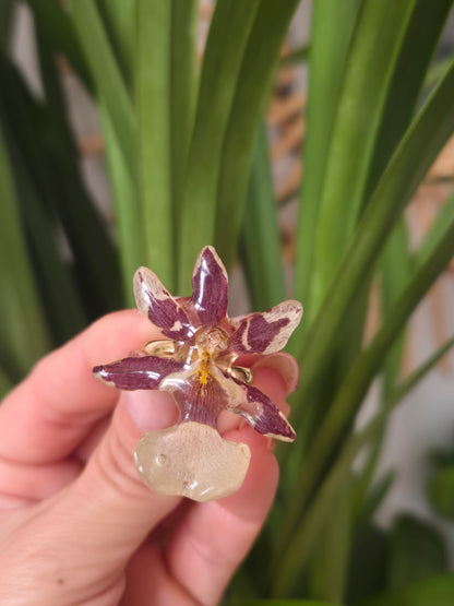 Anillo orquidea Cambria mini