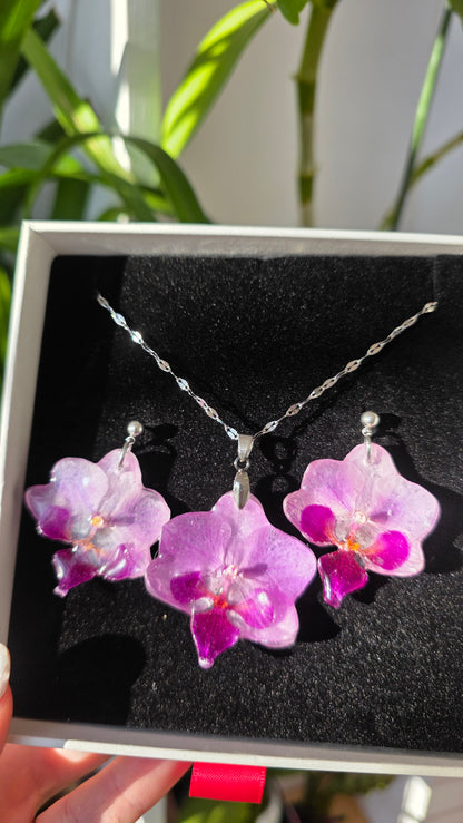 Conjunto orquidea Phalaenopsis