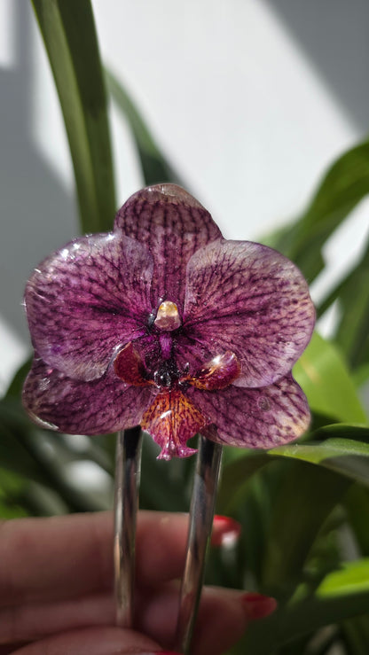 Horquilla de orquidea real