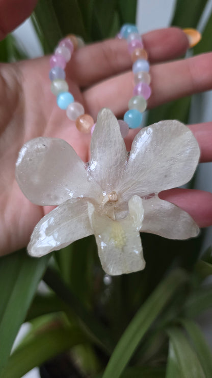 Collar orquidea Dendrobium