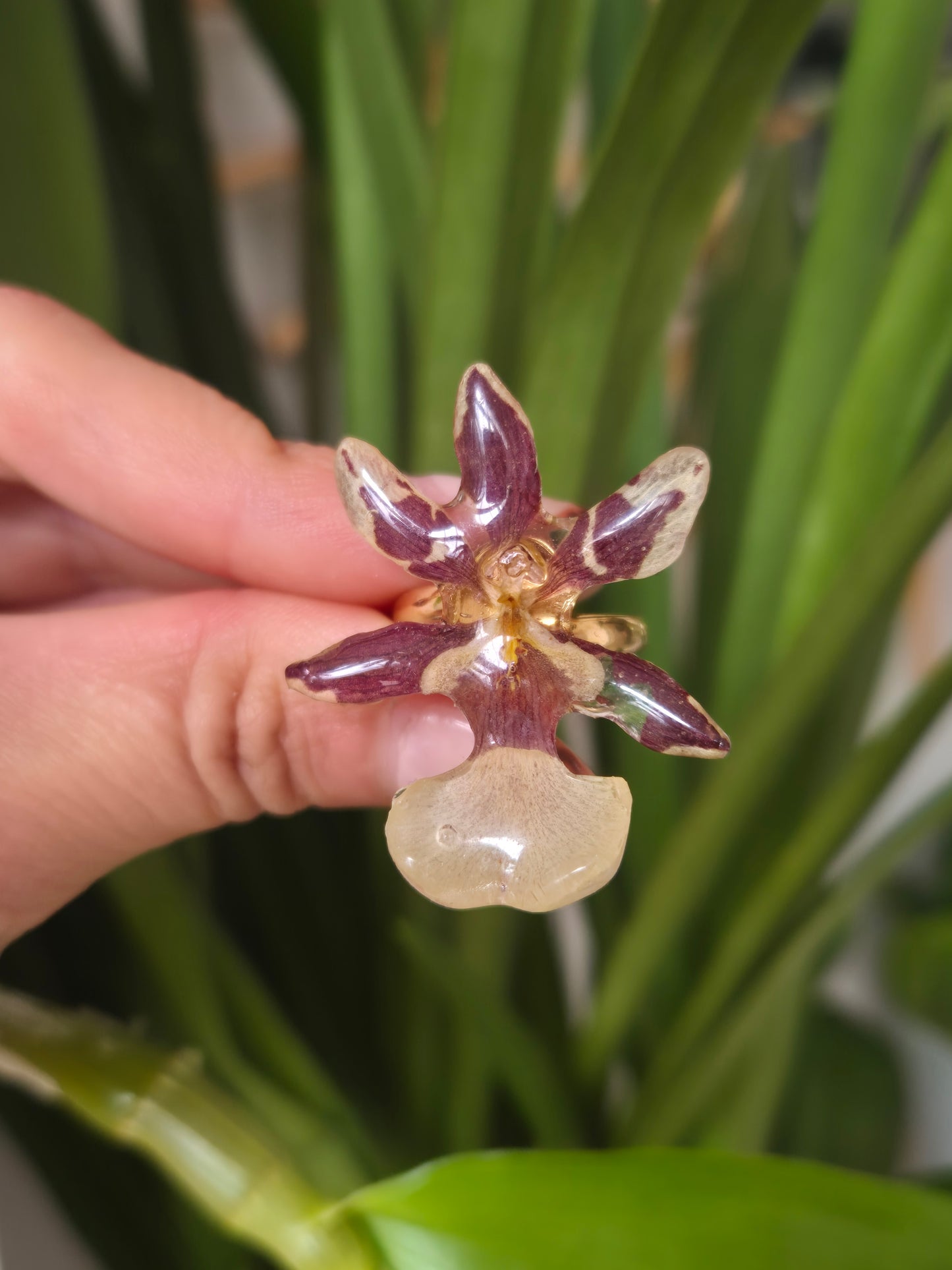 Anillo orquidea Cambria mini