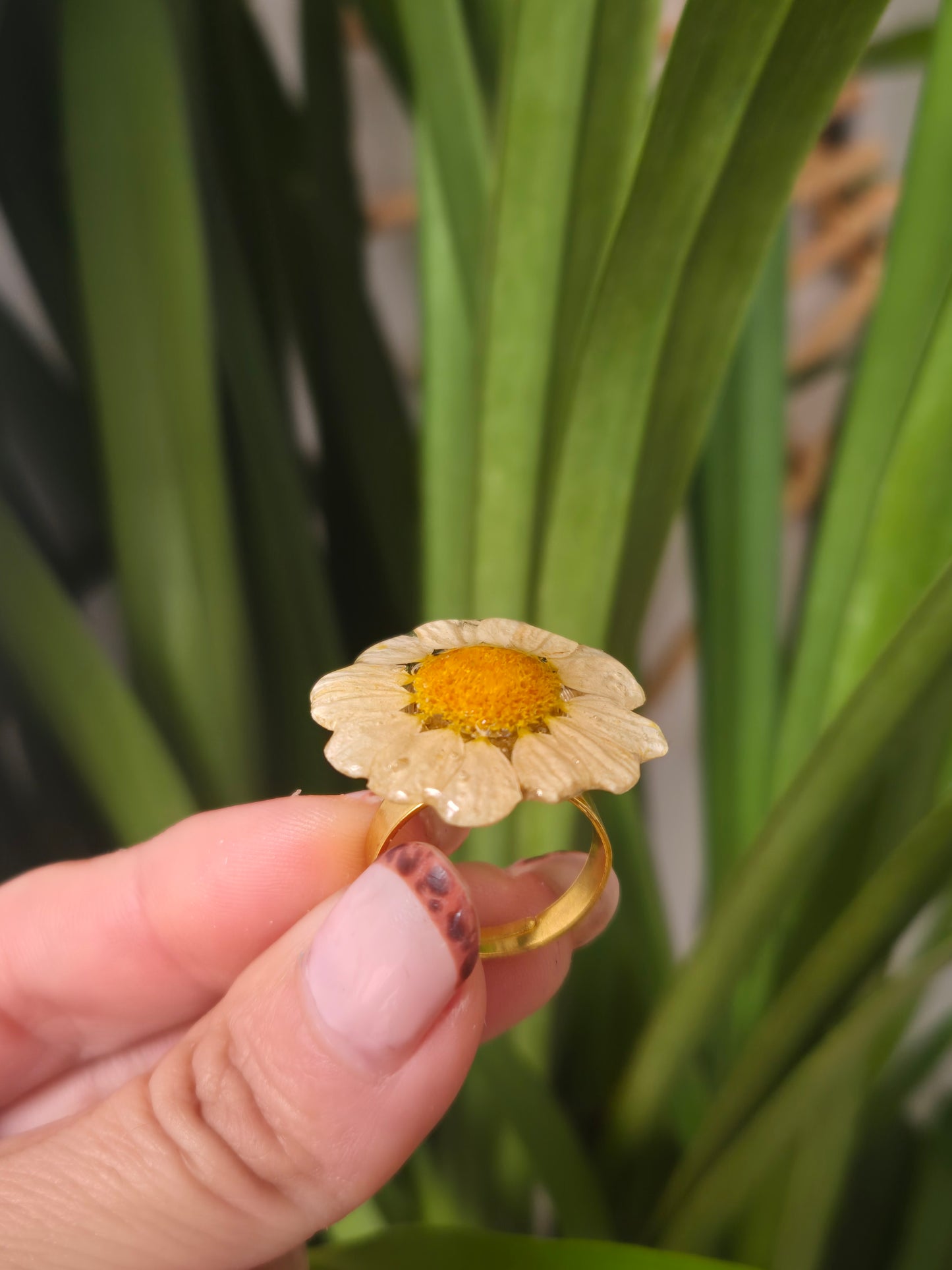 Anillo ajustable margarita