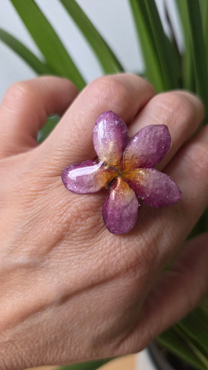 Anillo plumeria rosa