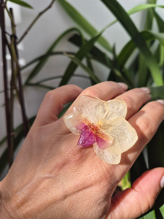 Anillo orquidea