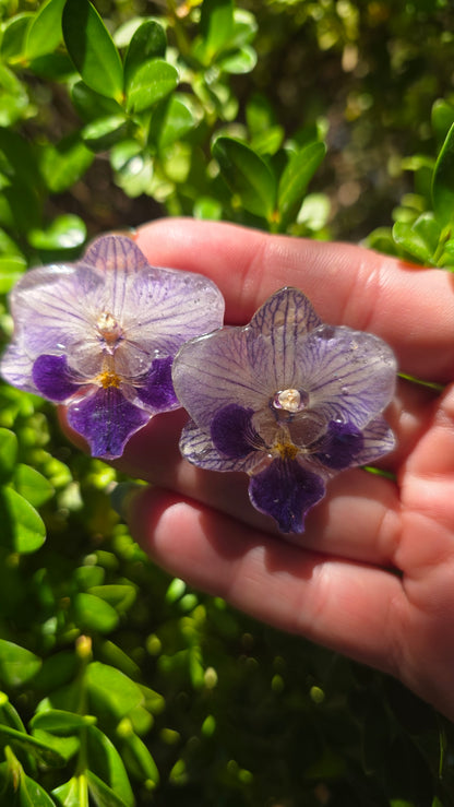 Pendientes orquidea mini