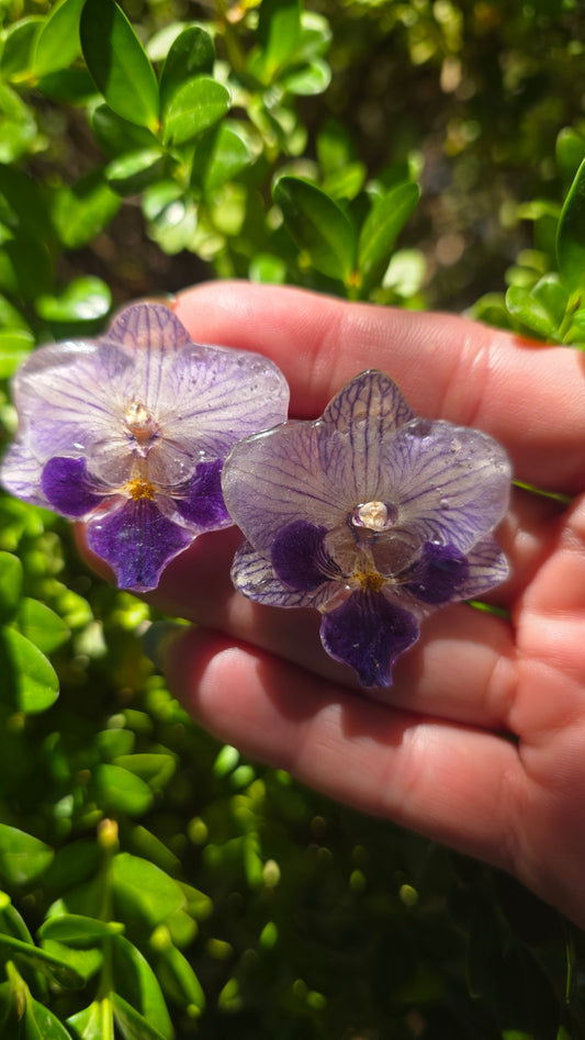Pendientes orquidea mini