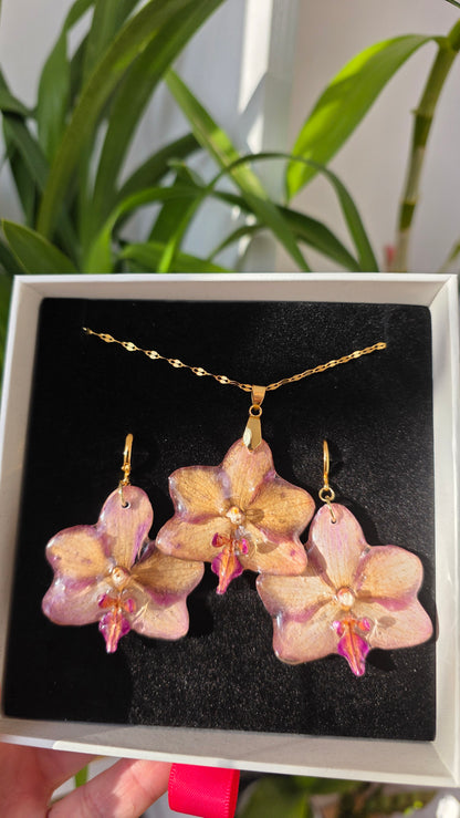 Conjunto orquidea Phalaenopsis