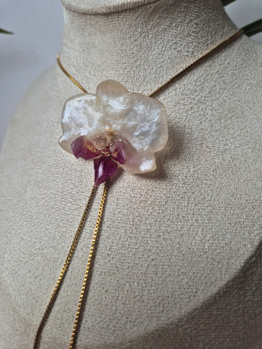 Colgante regulable de orquídea Phalaenopsis