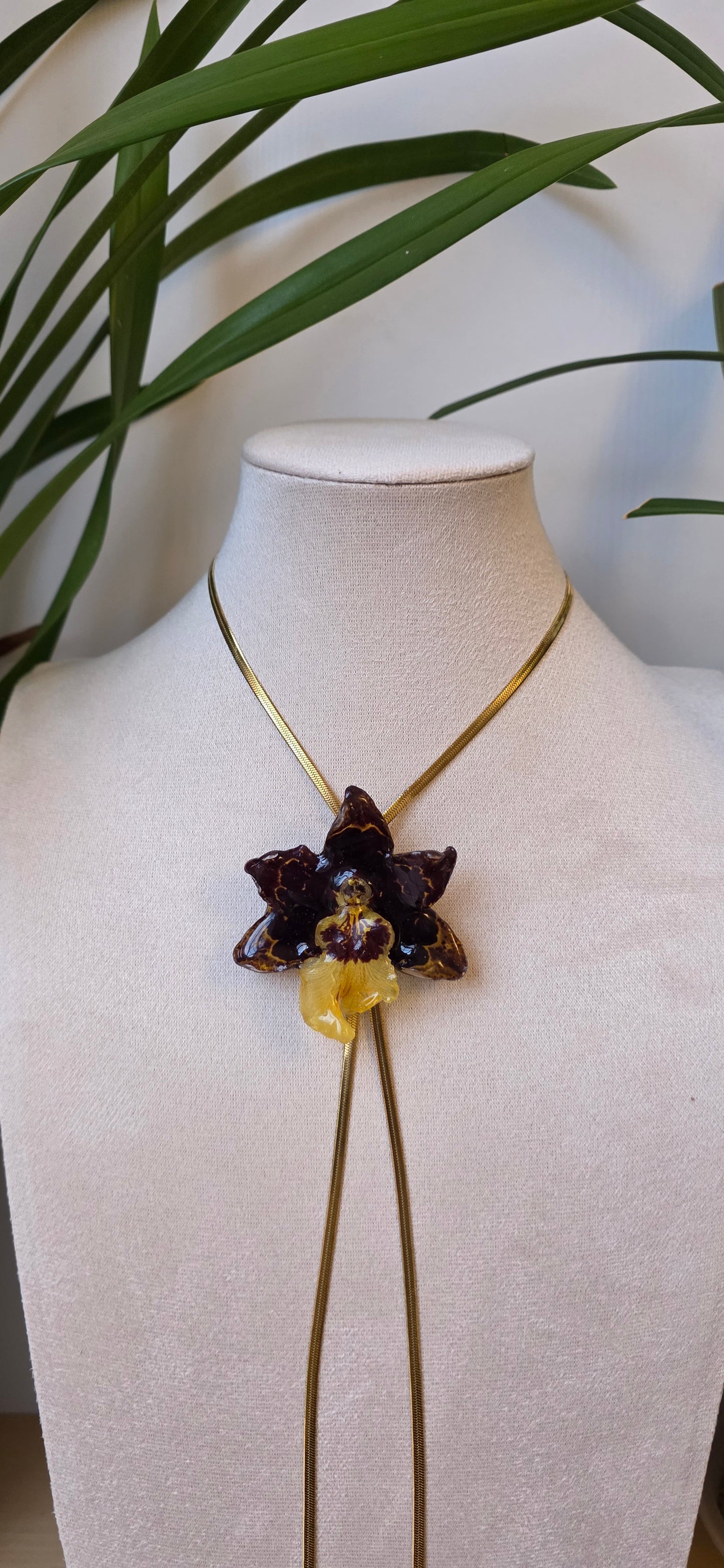 Collar regulable de orquidea Colmanara