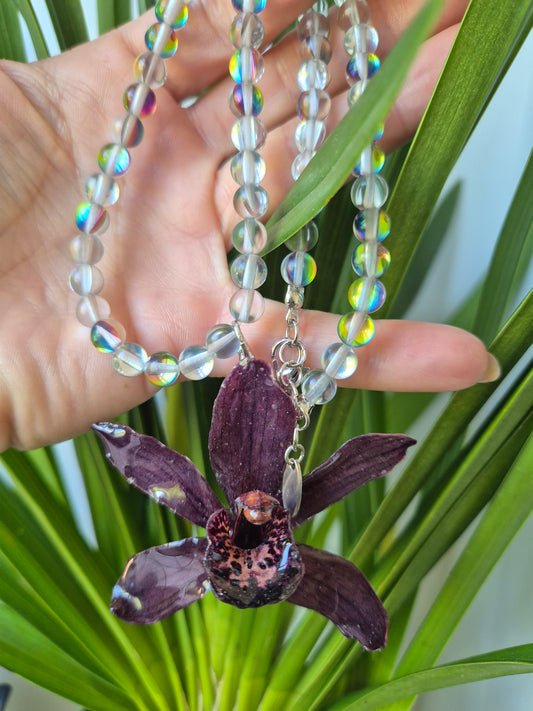 Colgante orquidea cymbidium marrón