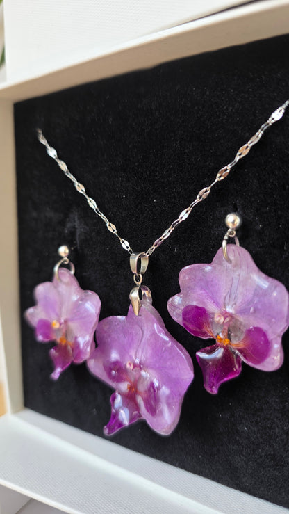 Conjunto orquidea Phalaenopsis