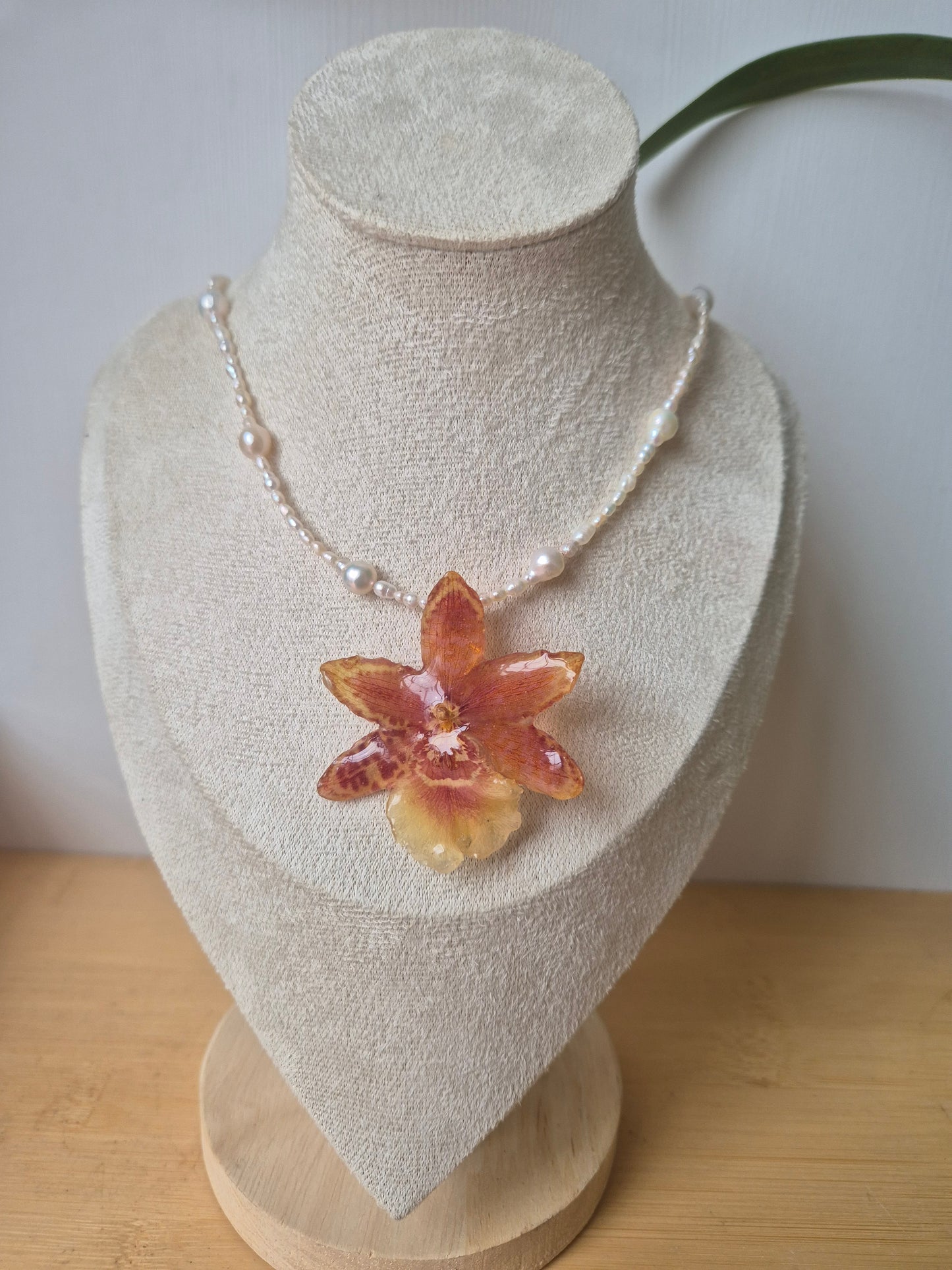 Collar de perlas y orquidea Cambria