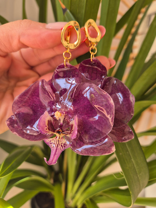 Pendientes orquidea Phalaenopsis