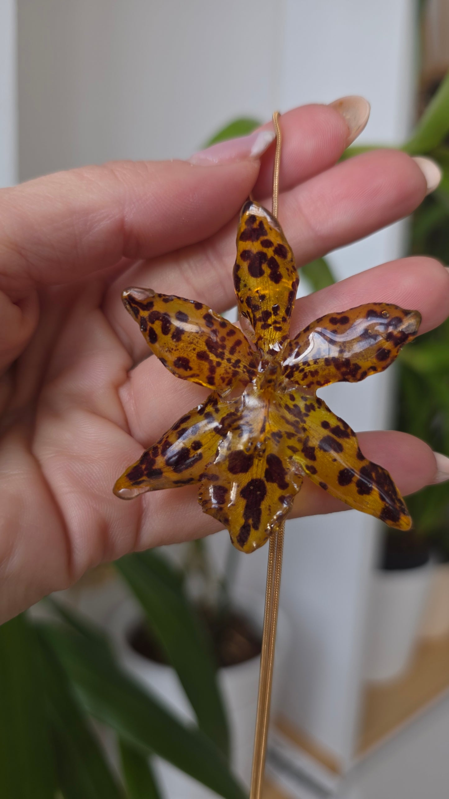 Collar regulable de orquidea.