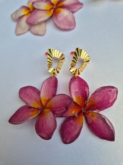 Pendientes plumeria
