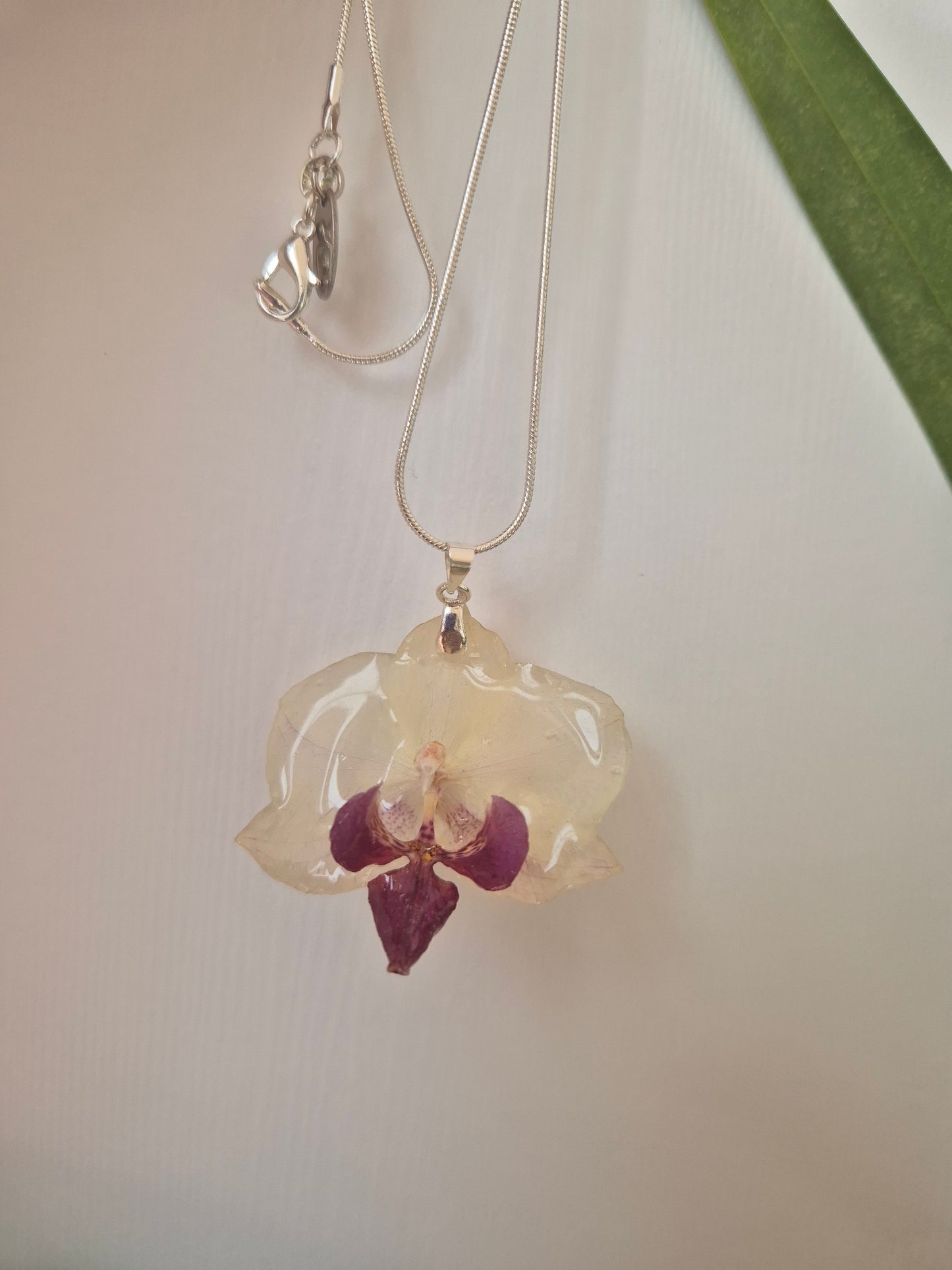 Colgante Orquídea Phalaenopsis Morada