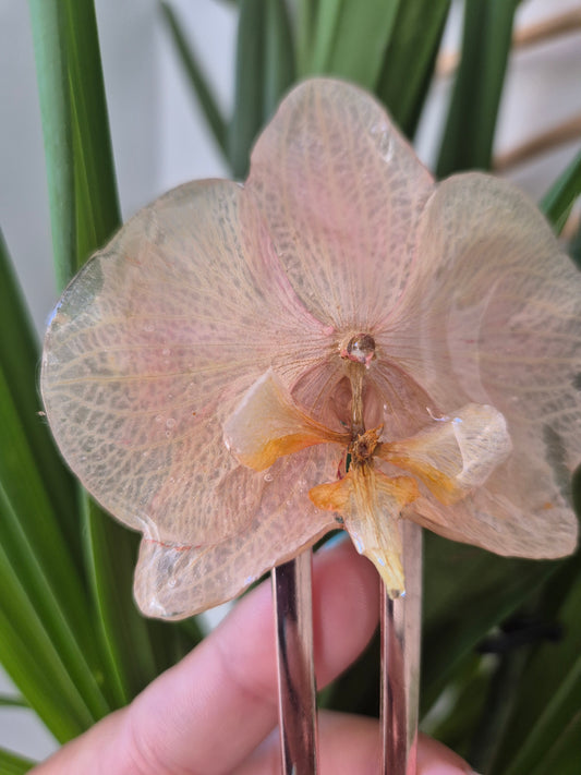 Horquilla de orquidea real