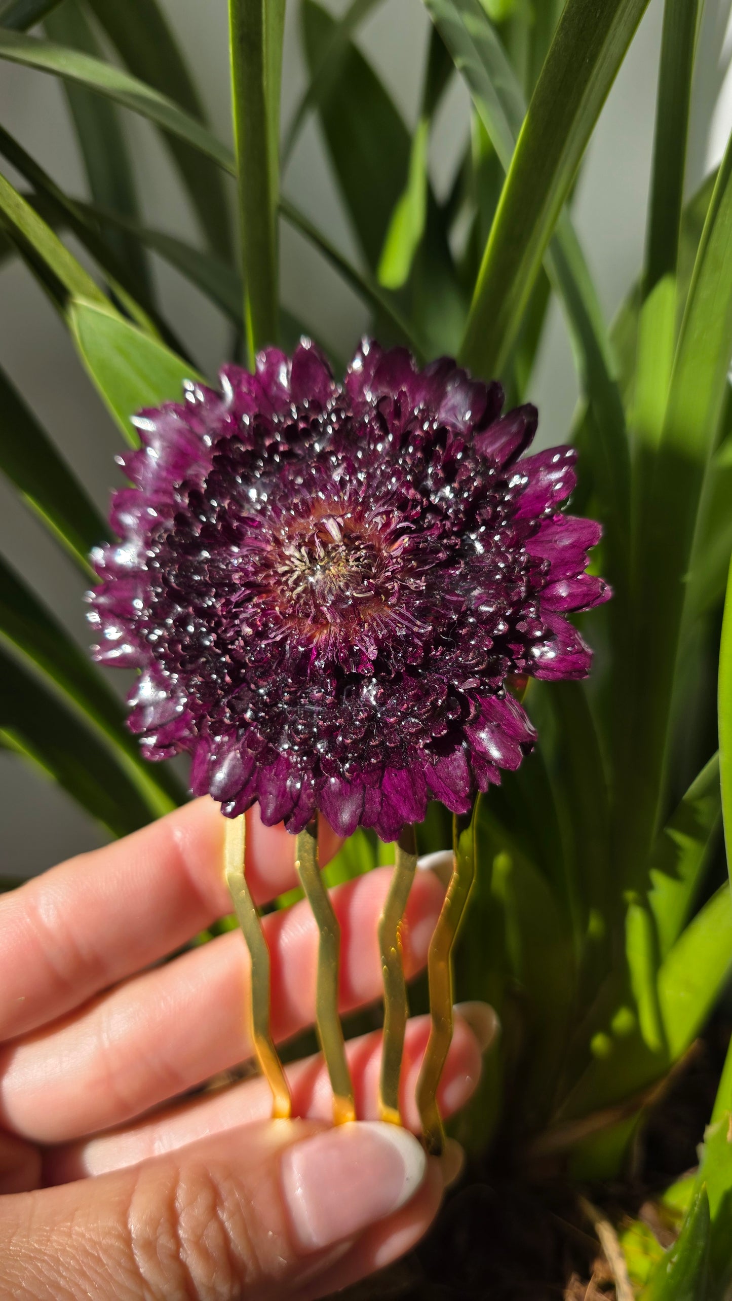 Horquilla de gerbera